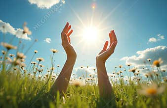 Hands reaching sunlight in green grass, daisies under blue sky. Sun rays shine on blooming flowers. Touching sun, nature,