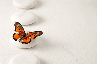 Zen stones with butterfly