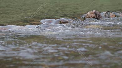 Water stream in the river flowing through stone.