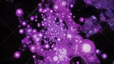 Dynamic Microscopic Red Cells Pulsating and Interacting in Abstract Biological Fluid