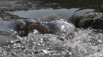 Water stream in the river flowing through stone.