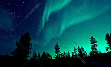 Northern Lights aurora borealis over trees