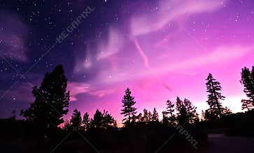 Northern Lights aurora borealis over trees