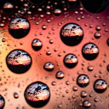 macro drop sunset shot