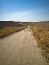 Winding dirt path through golden fields under clear blue sky in late afternoon light near rural landscape