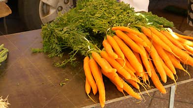 Organic Carrots in Bulk for Sale