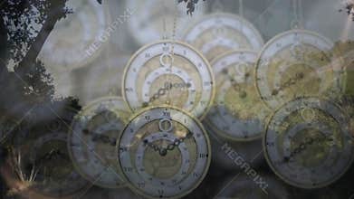 On start, golden pocket watch faces swinging, ticking clockwise showing time passing over forest