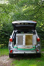 Open car trunk with a professional dog crate in nature