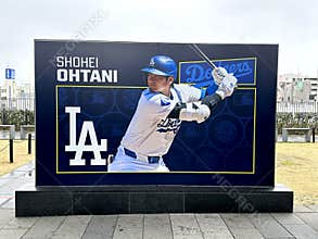 Shohei Ohtani 
