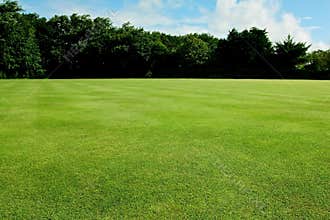 Recreational or sport field background