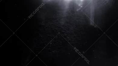 Light Leak and Particles Elegant Intro and Background - Monochrome Luxury Intro