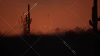 Desert with cacti in dusty wind during sunset.