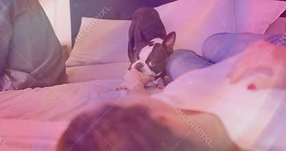 woman pulling green tennis ball on bed initiating tug-of-war while dog gripping for pet care