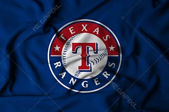 the logo of the MLB Tampa Bay Rays baseball team