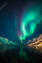Northern lights above fjords