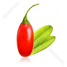 Goji berry isolated