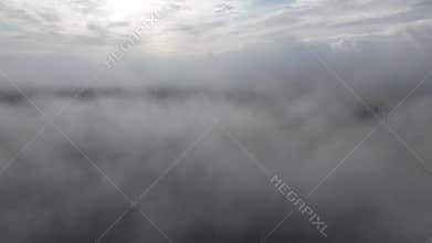 Areal shot of a foggy dense New Forest in UK