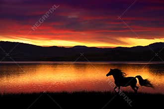 Horse and sunset