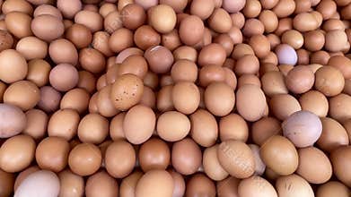 Pile of broiler chicken eggs at the trader