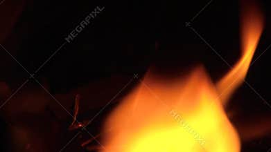 Real fire, close-up. Flames and ember!