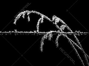 Midnight Frost on Barbed Wire and Tall Grass