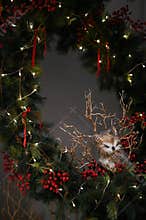 Chrismast decoration details with green leafy plants, gift boxes, and owl toy