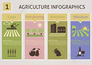 Agriculture infographics