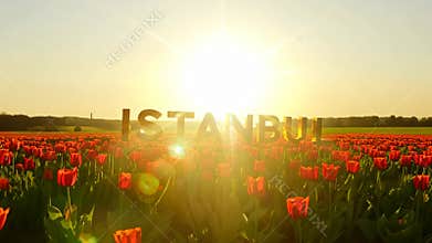 A field of red tulips with the word Istanbul written in the middle.