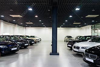 Cars for sale in showroom
