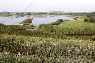 Minsmere RSPB Reserve,