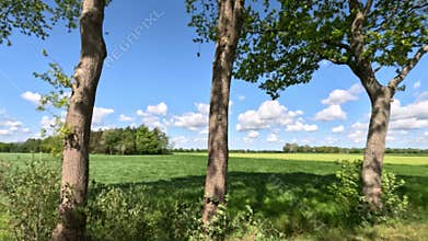 Beautiful Sunny Countryside Scenery Showing Fields And Meadows