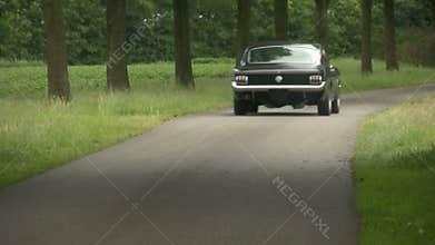 65 Fastback Mustang drive by
