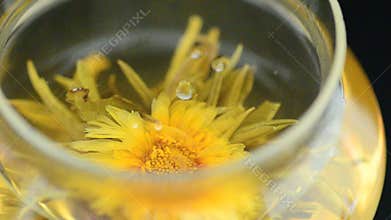 Blooming tea closeup