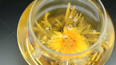 Marigold flowering tea