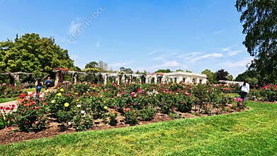 footage of a gorgeous spring landscape with colorful flowers at Huntington Library and Botanical Gardens in San Marino California