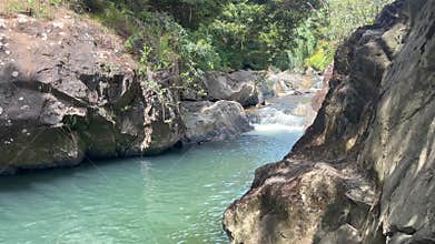 Beautifule clam waterfall in Norhland New Zealand