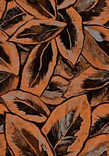 Large ficus foliage painted by hand of brush strokes.