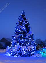 Tree with Christmas Lights in Blue