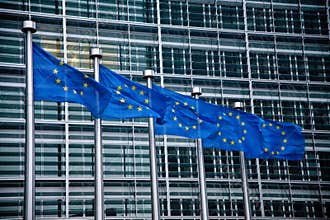 European Union Flags