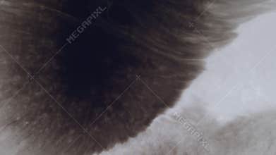 Black blot splash spreading paint blob splatter