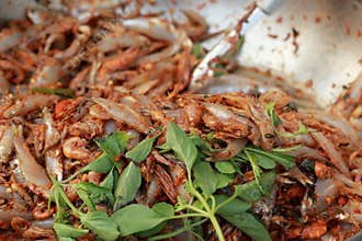 Spicy salad and fish - asia food.