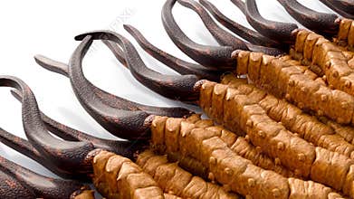 A 3d animation of cordyceps.