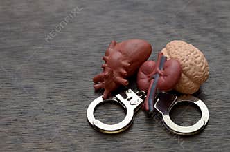 Organ Trafficking Concept: Heart, Brain, Kidneys in Handcuffs Symbolizing Illegal Human Trade