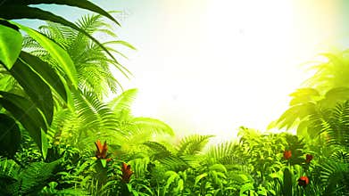 Growing tropical forest, 3d animation