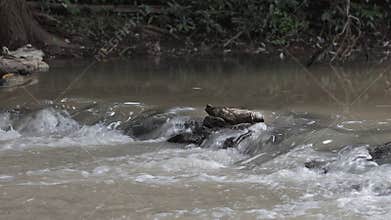 Water stream in the river flowing through stone.
