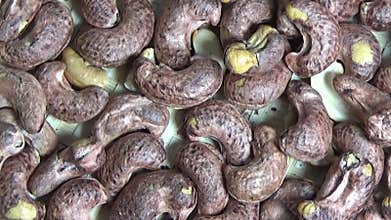 cashew nut scene, cashew shelling