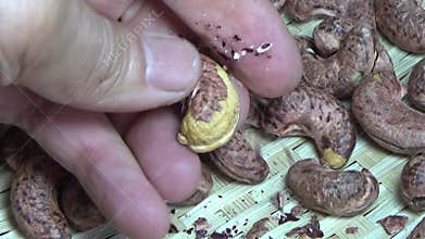 cashew nut scene, cashew shelling
