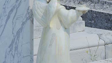 Angel detail at Cavtat old cemetery
