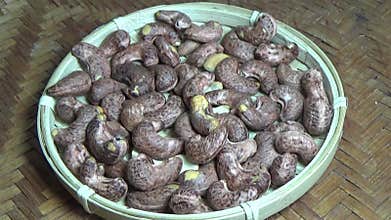cashew nut scene, cashew shelling