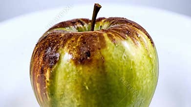 Zoom on a green apple that is rotten on one side